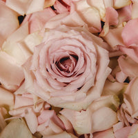 ブレストフォーム